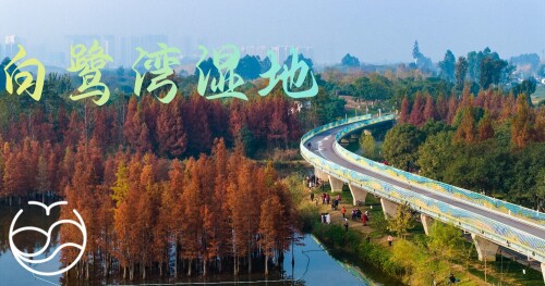k3b43f672710cde4a.jpg