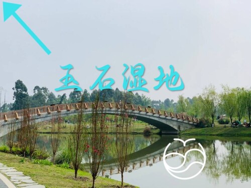 l186df8c0630b7a6f.jpg