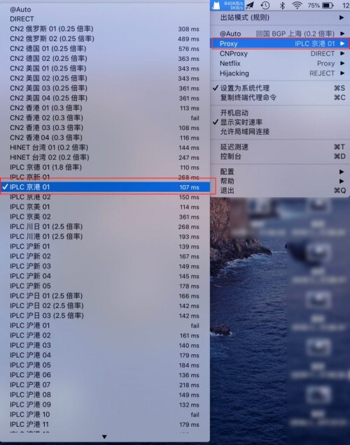 7.jpeg