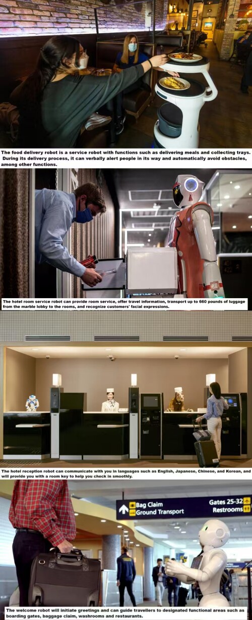 service-robot2.jpg