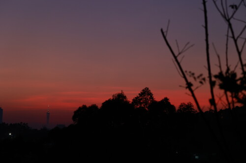 IMG_2689.jpg