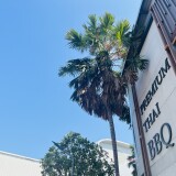 IMG_2064-4