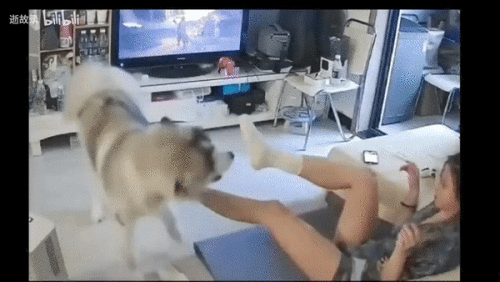 27606519227-1-161.gif