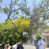 IMG_2465-2