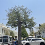 IMG_2472-2