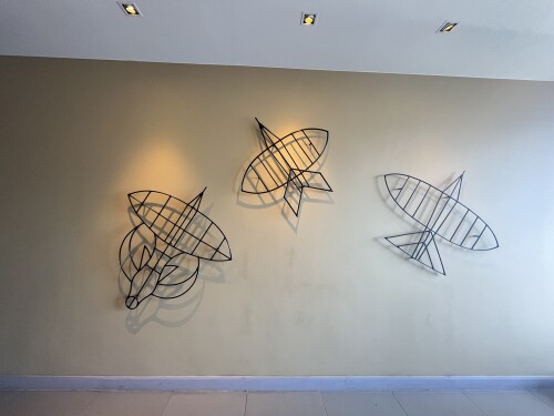 IMG 2552