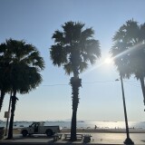 IMG_2607
