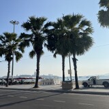 IMG_2608