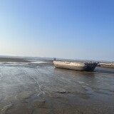 IMG_2619