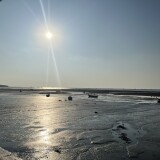 IMG_2620