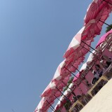 IMG_2959