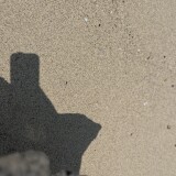 IMG_2978