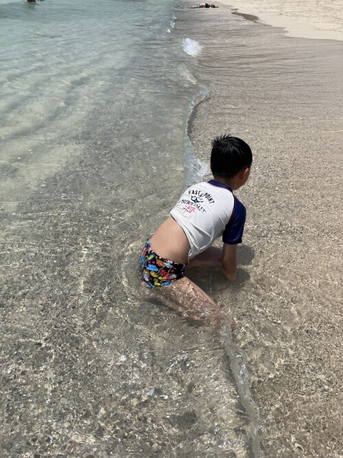 IMG 2994