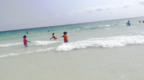 IMG_3091-2.webm
