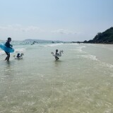 IMG_309528d8406a1acbf5c5