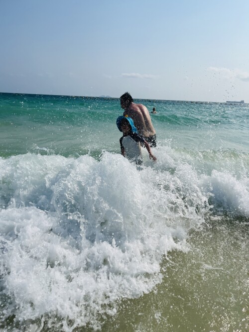 IMG 3184