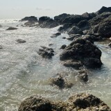 IMG_3285