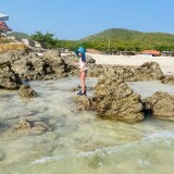 IMG_3288
