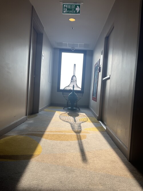 IMG 3614