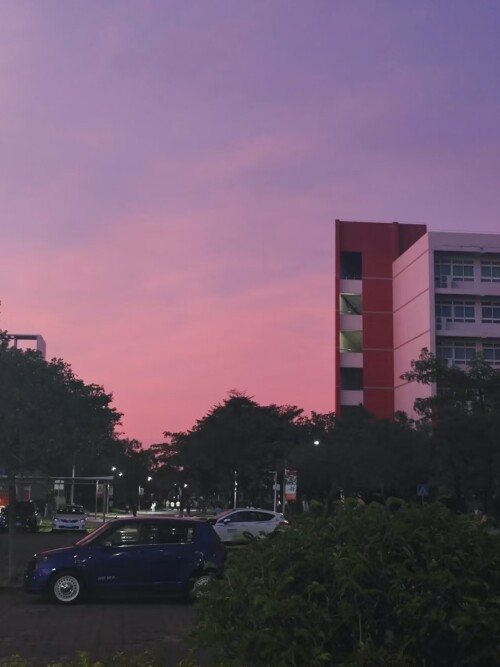 _20250102114343.jpg