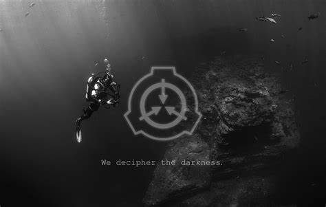 OIP-C.jpg