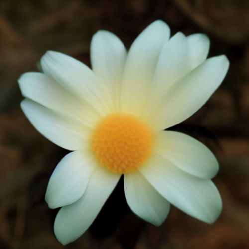 flower2.01