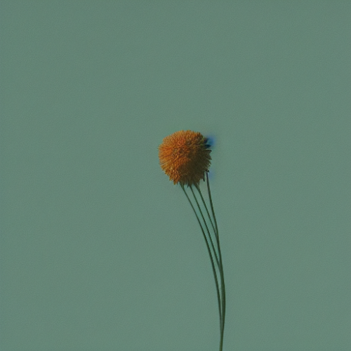 flower22.01