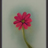 flower27.01