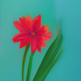 flower33.01