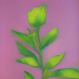 flower4.01