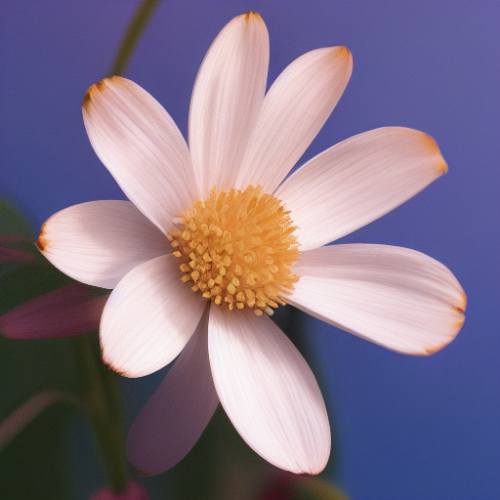 flower40.01