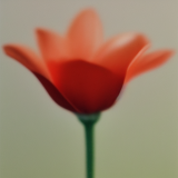 flower42.01