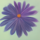 flower7.01