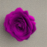 flower1.02