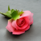 flower13.02