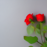flower20.02