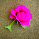 flower21.02