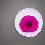 flower25.02