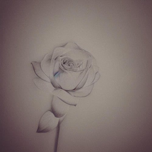 flower28.02.png