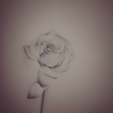 flower28.02