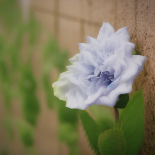 flower38.02.png