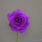 flower5.02