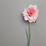 flower7.02