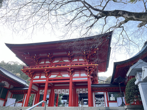 IMG_7596.png