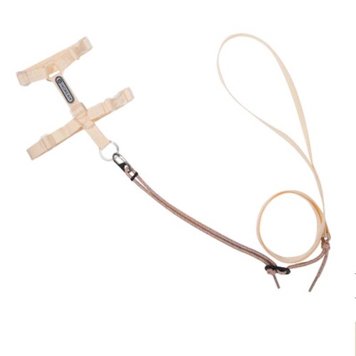cat-leash.jpg