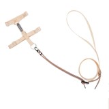 cat-leash