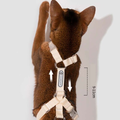 cat-leash676581bc8bda9c77.jpg
