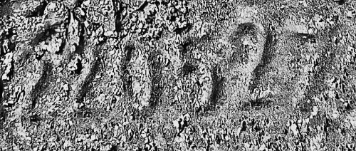 08_processed.jpg