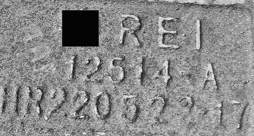 13_processed.jpg