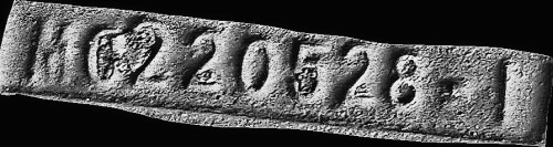 20_processed.jpg